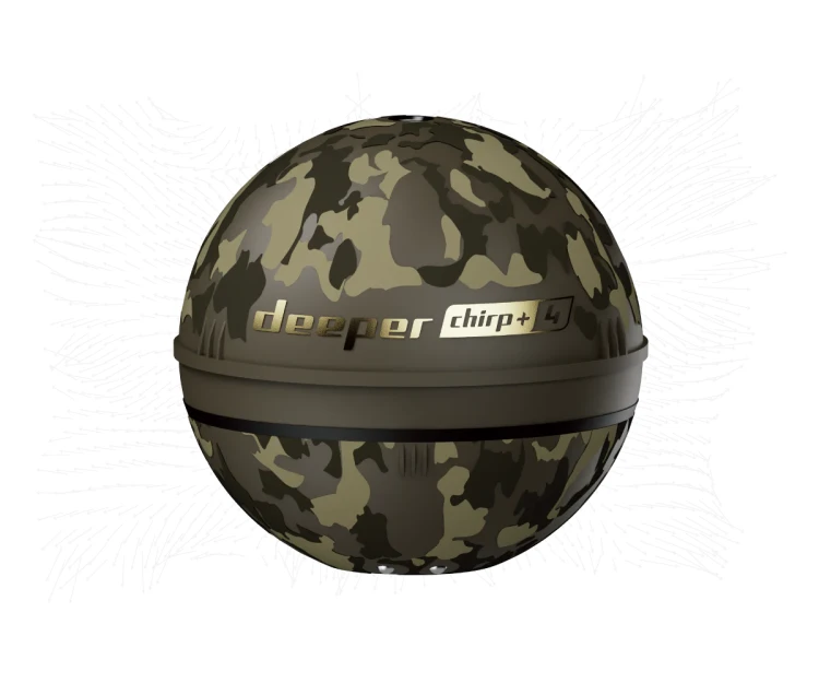 1.webp