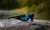9.webp