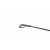 19.webp