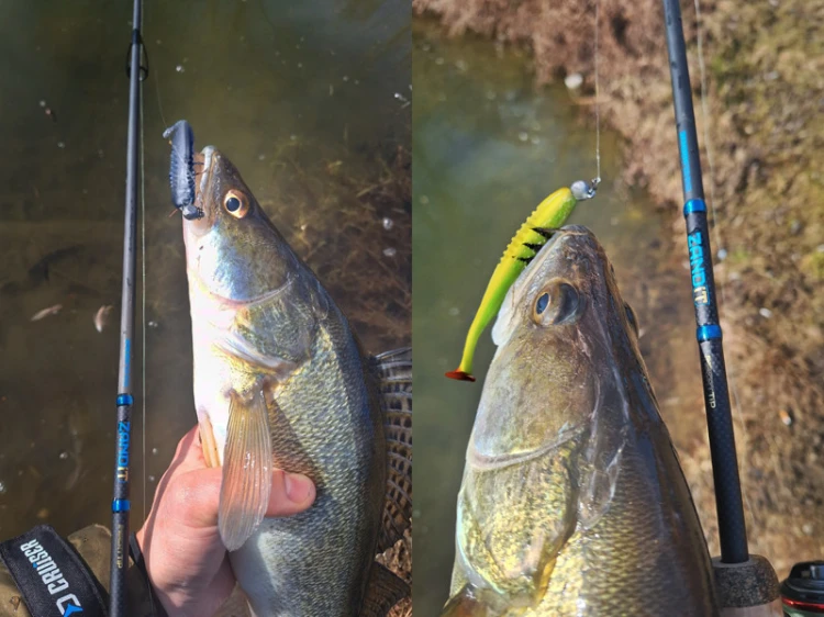 2a315ed9cf18dadff953fc6728882d22