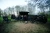 15.webp