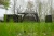 17.webp