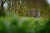 9.webp