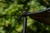 15.webp