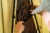 3.webp