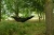 8.webp