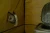 13.webp