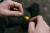 7.webp