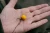9.webp