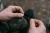 5.webp