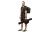 5.webp