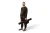 5.webp