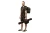 5.webp