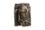 3.webp