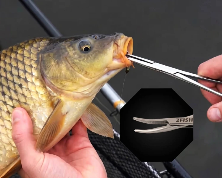 Zfish ZFISH Pean Prosty Premium Quality Długość 10cm 8590615617752 ZF-7752 Karpiowe Graty - Zdjęcie 3