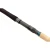5.webp