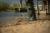 9.webp
