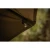 11.webp