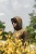 KC0154-2.jpg