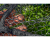 15.png
