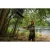 8.webp