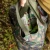 6.webp