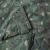 5.webp