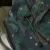 6.webp