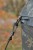 Mivardi Umbrella Camou PVC + Full Cover - parasol karpiowy  Karpiowe Graty - Zdjęcie 4