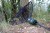 Mivardi Landing Net CamoCode 100 x 100 cm + Landing Net Handle - podbierak karpiowy  Karpiowe Graty - Zdjęcie 15