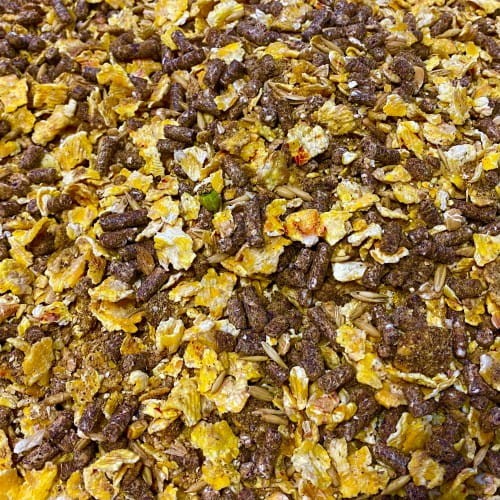 Wratislavia Baits Carp Muesli 5 kg 5904121170008 Karpiowe Graty - Zdjęcie 1
