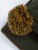 Navitas Ski Bobble Green - czapka wędkarska  Karpiowe Graty - Zdjęcie 3