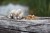 Undercarp Siatka Pva Tunel + Ubijak 35 mm 7 m  Karpiowe Graty - Zdjęcie 4