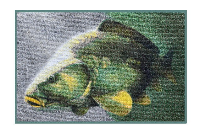 Delphin Wycieraczka 3D karp 60x40cm 8586018445351 Karpiowe Graty - Zdjęcie 1