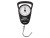 Delphin Waga BOLD 35 do 35kg 8586018461542 Karpiowe Graty - Zdjęcie 1