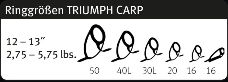 Sportex Triumph Carp 13'' 3-5 oz 390 cm - wędka karpiowa 4048855389594 Karpiowe Graty - Zdjęcie 1