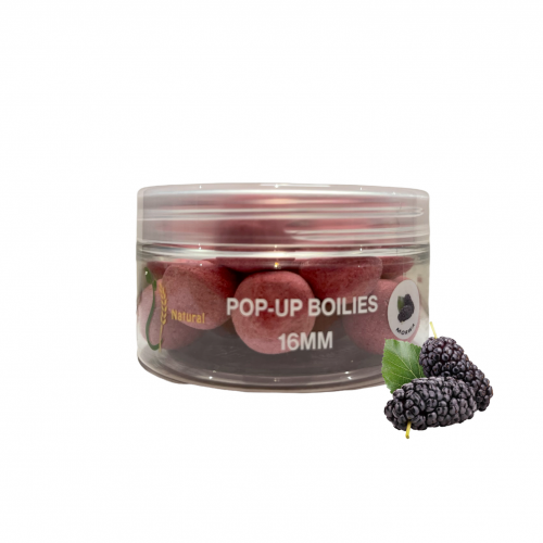 Wratislavia Baits Natural Pop Up Morwa 12 mm / 100ml - kulki pływające 5904121173337 Karpiowe Graty - Zdjęcie 1