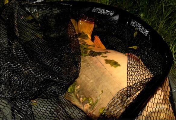 Mivardi Landing net Hardcore - podbierak karpiowy  Karpiowe Graty - Zdjęcie 12