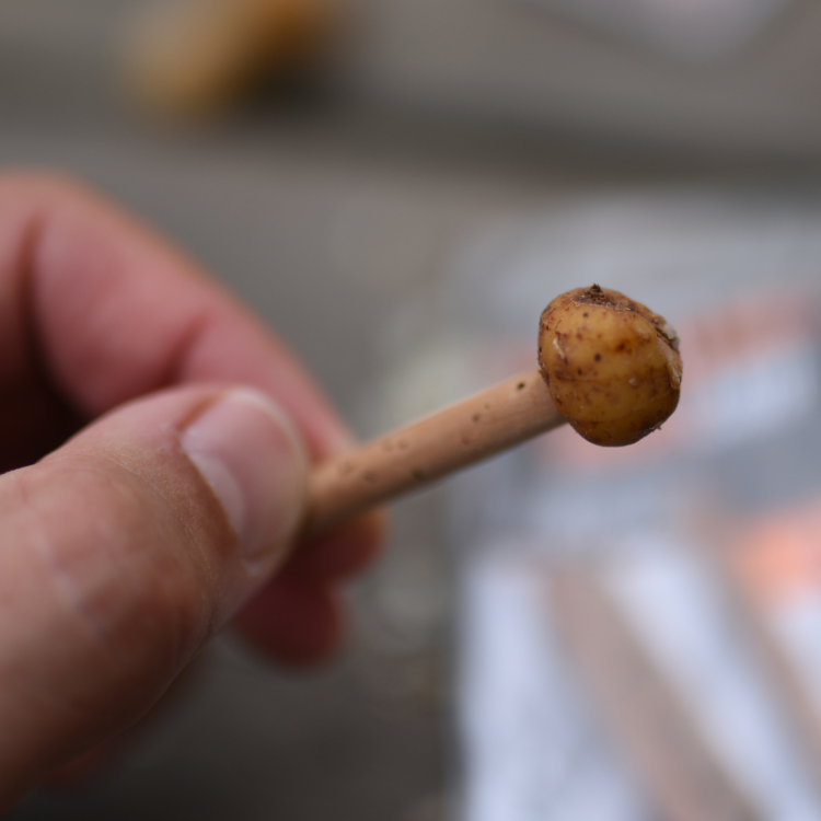 Undercarp Wiertło Do Balansowania Przynęt 6 mm  Karpiowe Graty - Zdjęcie 4
