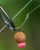 Fox Edges Armapoint Super Wide Gape  Long Shank Size 6 - haki karpiowe  Karpiowe Graty - Zdjęcie 4