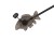Delphin Carpy - swinger (czarny) 101002904 Karpiowe Graty - Zdjęcie 2