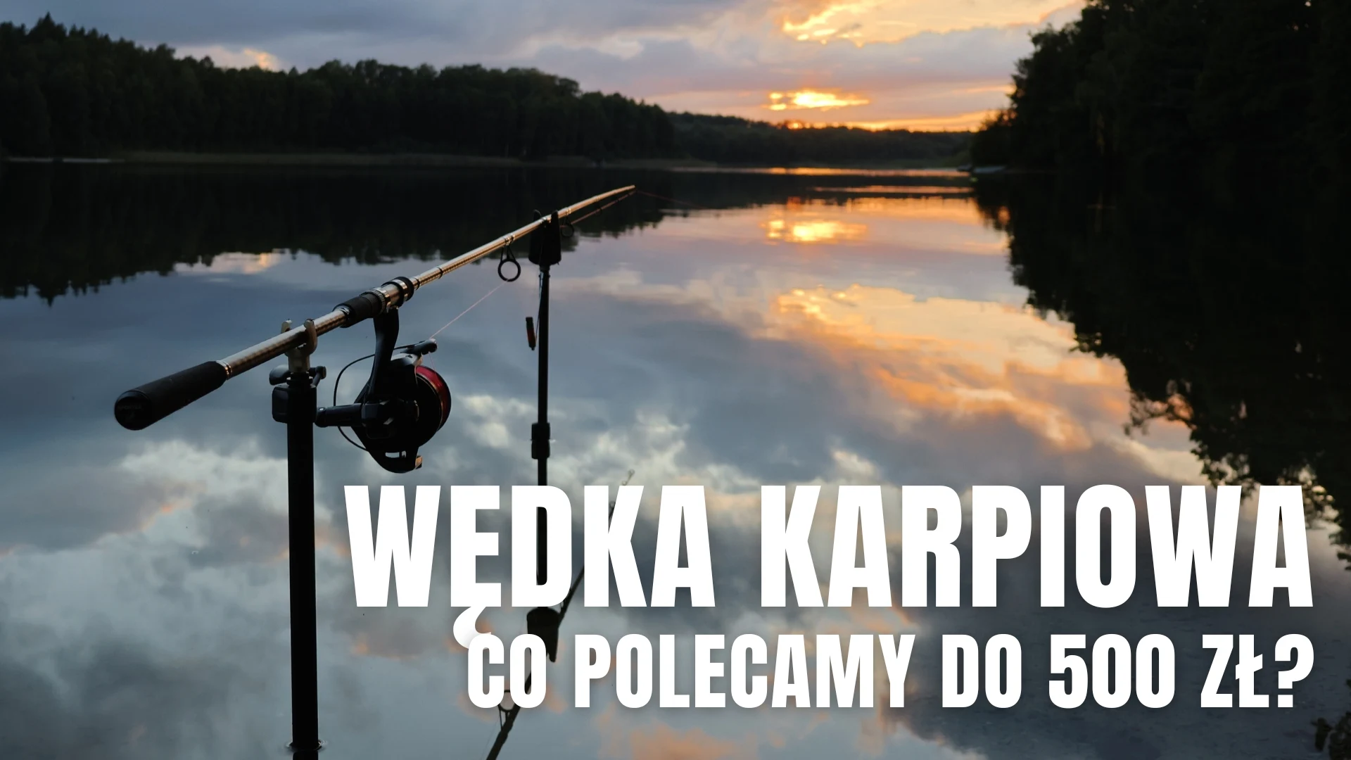 Wędka karpiowa do 500 zł