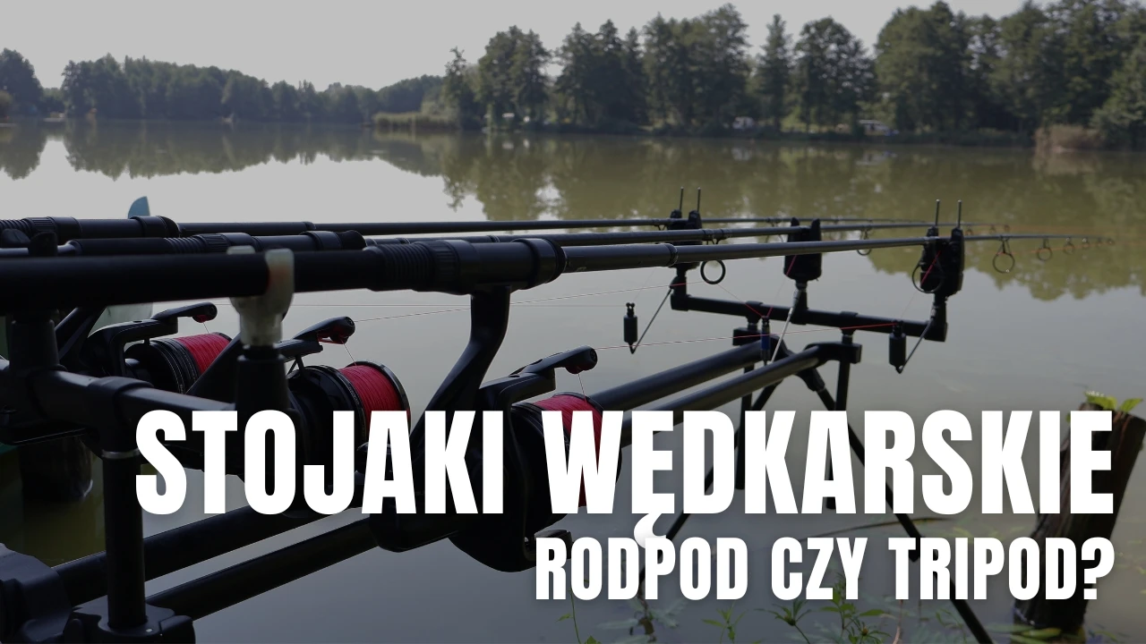 Stojaki karpiowe
