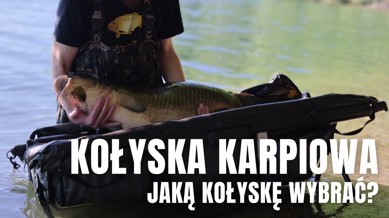 Kołyska karpiowa