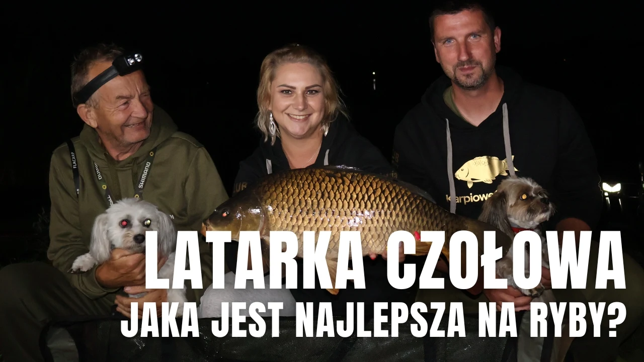 Łatarka czołowa