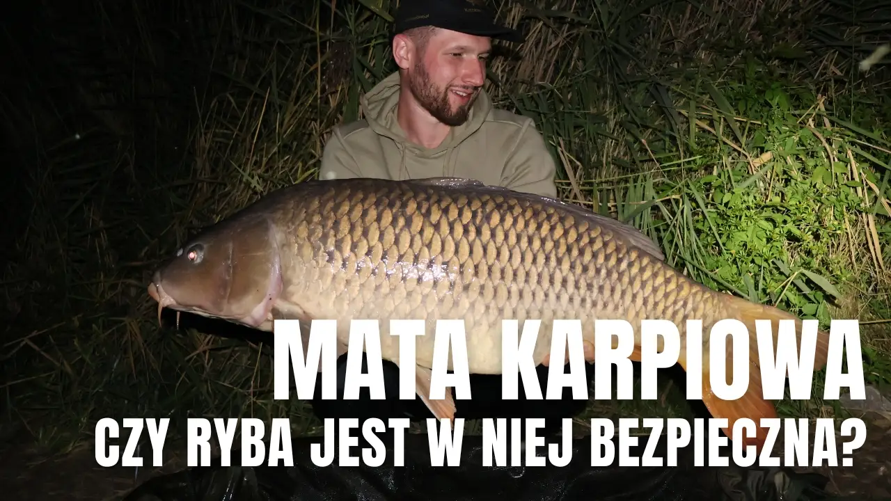 Mata karpiowa