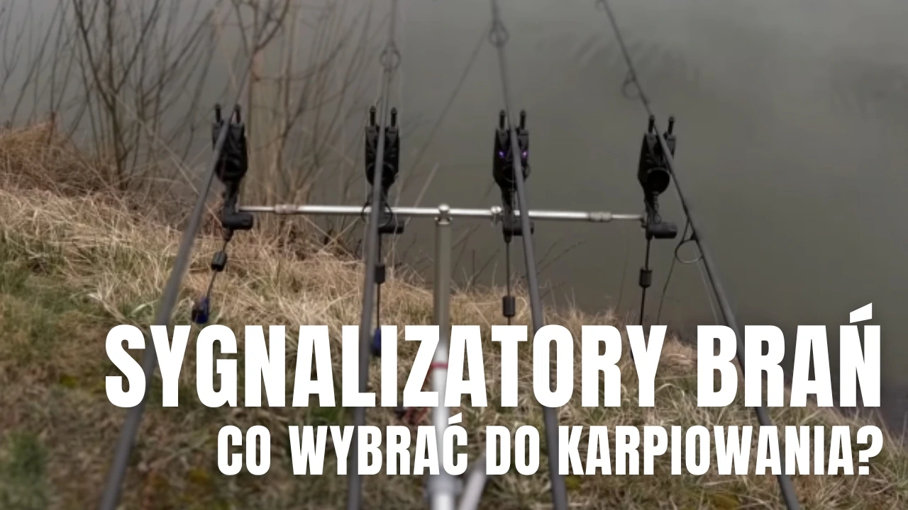 Sygnalizator brań