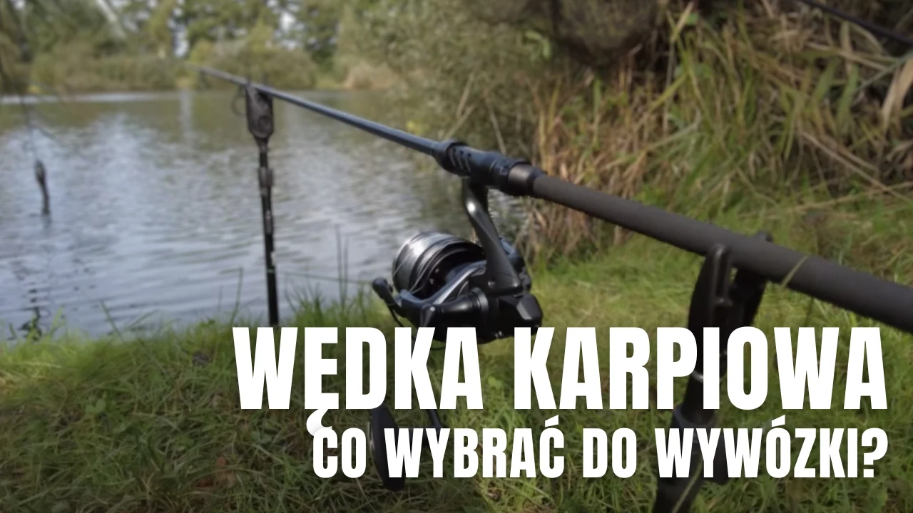 Wędka do wywózki